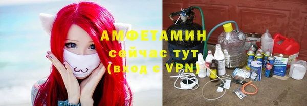 apvp Тайга