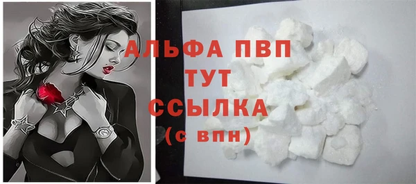 спиды Горно-Алтайск