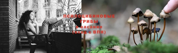 ПСИЛОЦИБИНОВЫЕ ГРИБЫ Горнозаводск