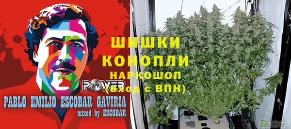 ПСИЛОЦИБИНОВЫЕ ГРИБЫ Горнозаводск