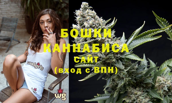 ПСИЛОЦИБИНОВЫЕ ГРИБЫ Горнозаводск