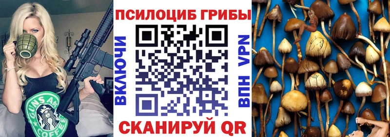 Псилоцибиновые грибы мицелий  Полярный 